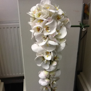 Wedding Flowers Cheshire: Orchid Shower Bouquet