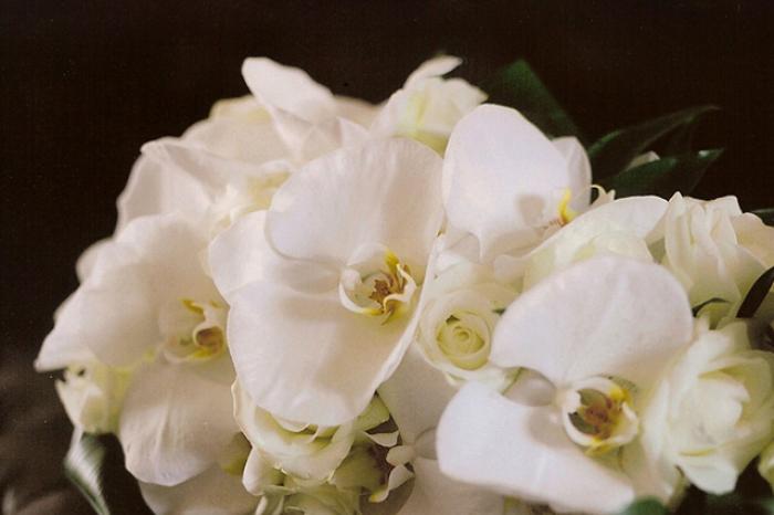 Wedding Flowers Cheshire: Philip Gilman Wedding Photography